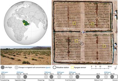 Detecting Plant Stress Using Thermal and Optical Imagery From an Unoccupied Aerial Vehicle